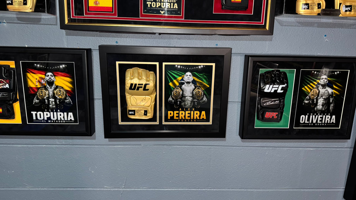 Alex Pereira Gallery Gold display shown alongside other premium Collectors