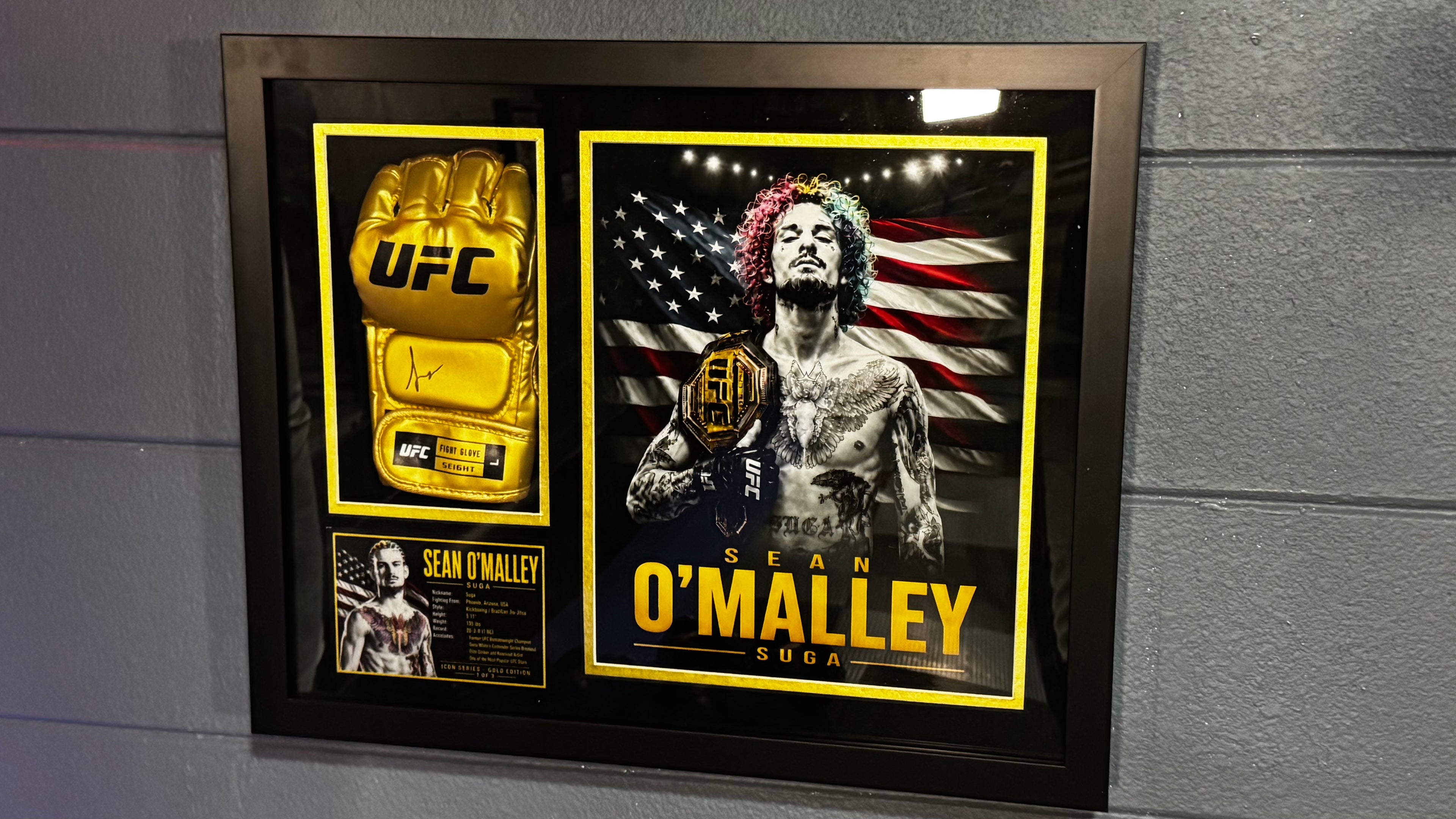 Sean O'Malley Signed Gold UFC Glove Shadow Box Autograph JSA COA 1/3 Custom Art