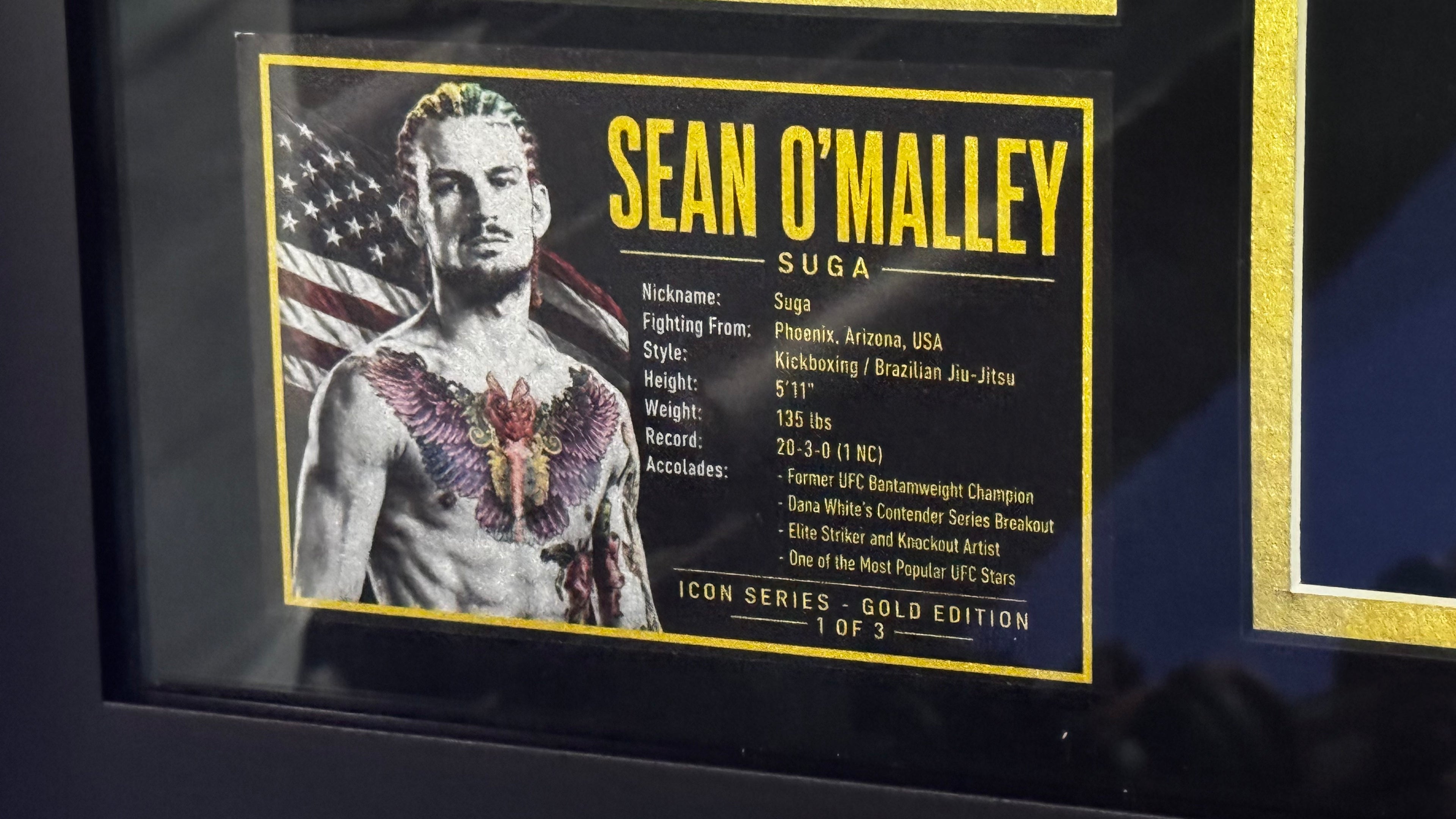 Sean O'Malley Signed Gold UFC Glove Shadow Box Autograph JSA COA 1/3 Custom Art