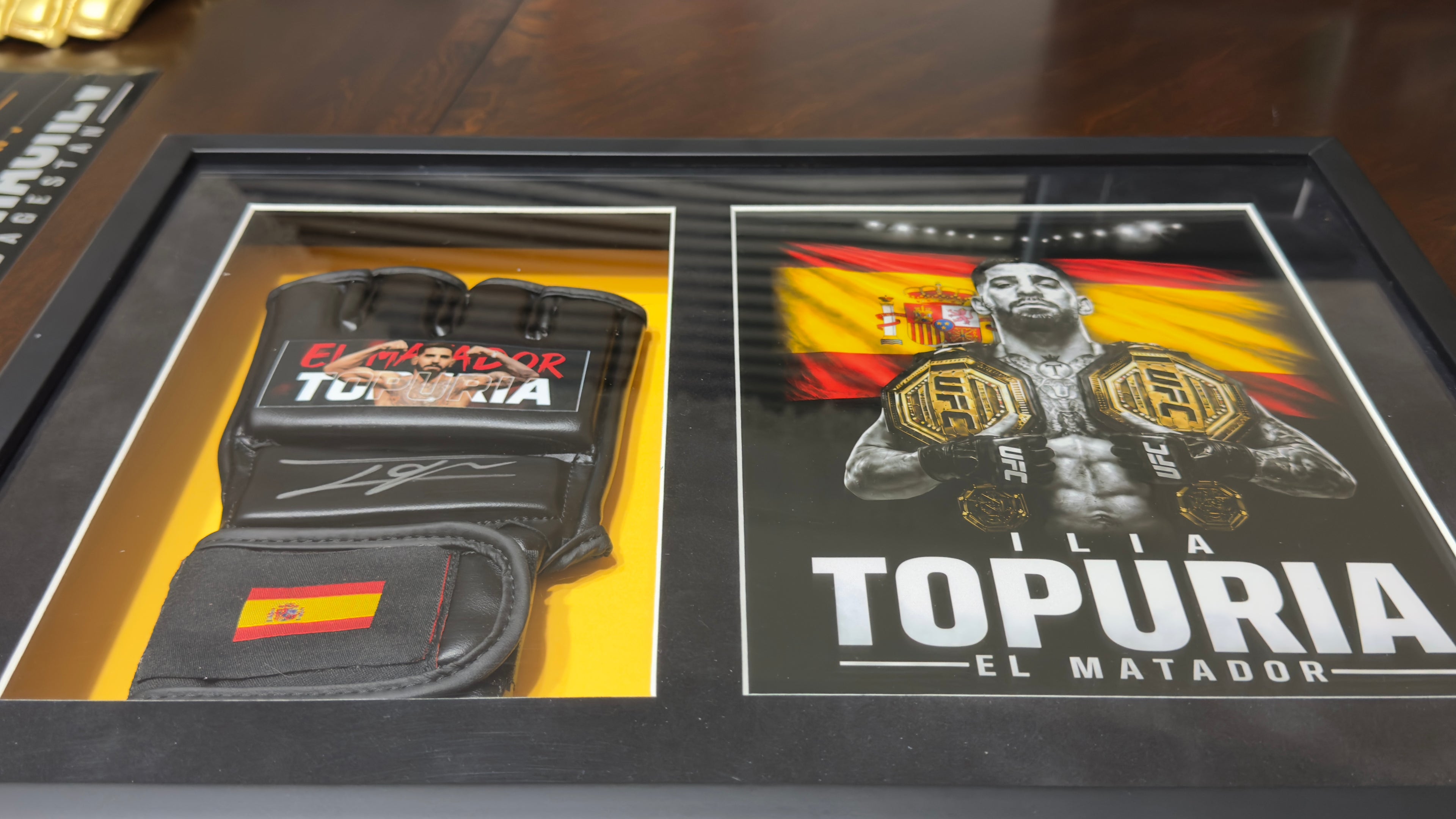 Ilia Topuria Signed UFC Glove Shadow Box Gallery Edition 18x14 Custom Art  professionally authenticated