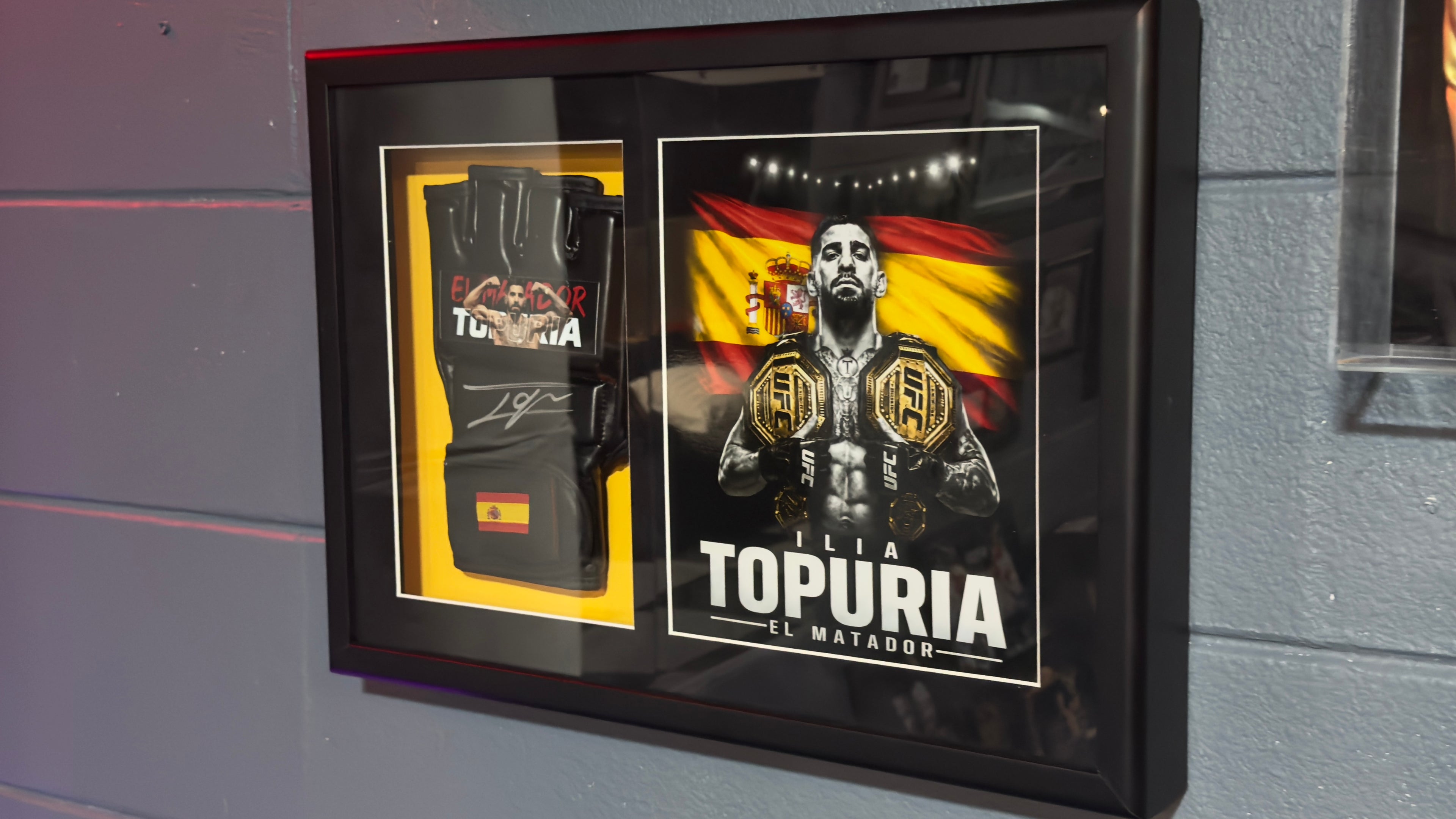 Ilia Topuria Signed UFC Glove Shadow Box Gallery Edition 18x14 Custom Art  professionally authenticated