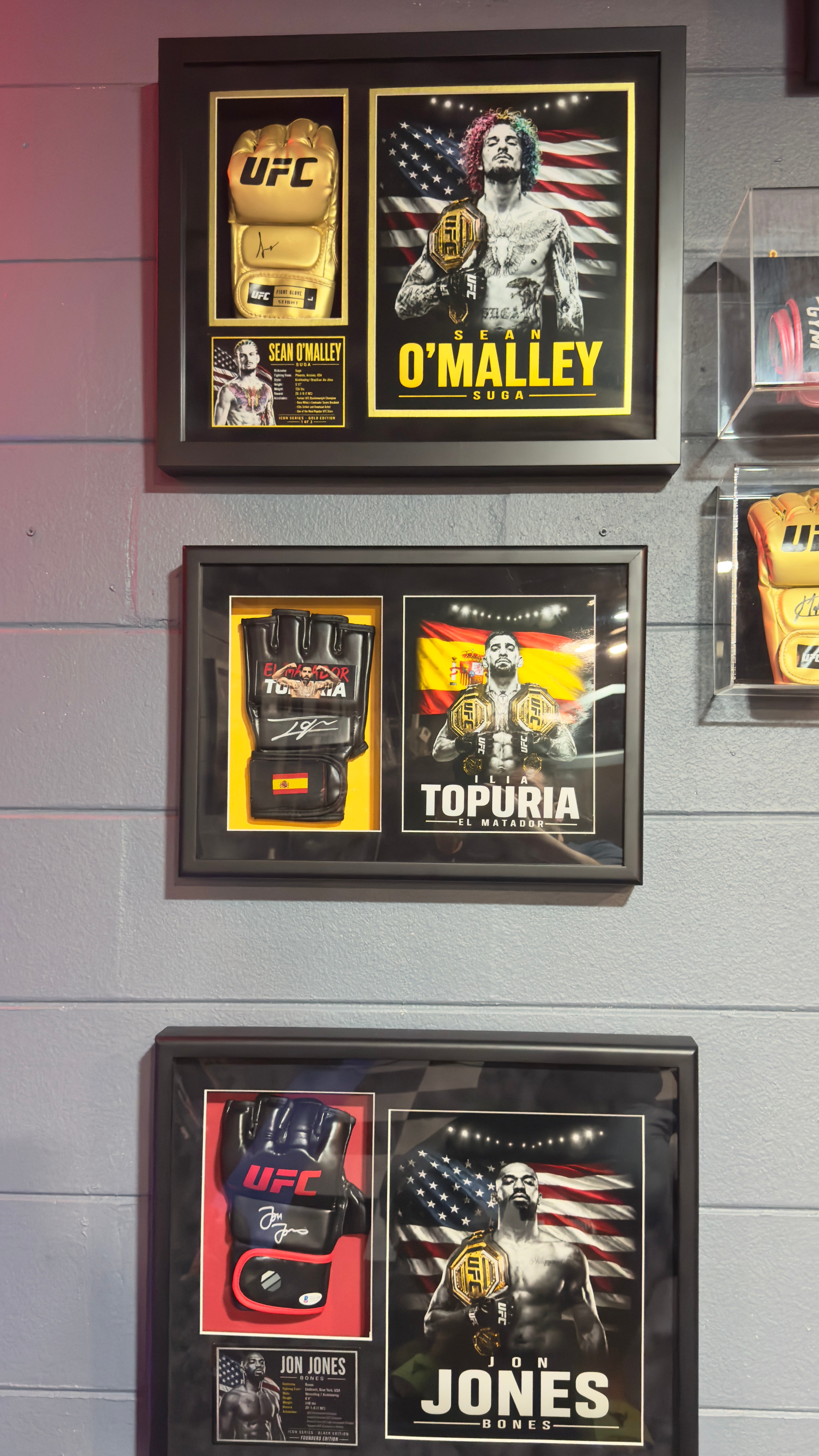 Ilia Topuria Signed UFC Glove Shadow Box Gallery Edition 18x14 Custom Art  professionally authenticated