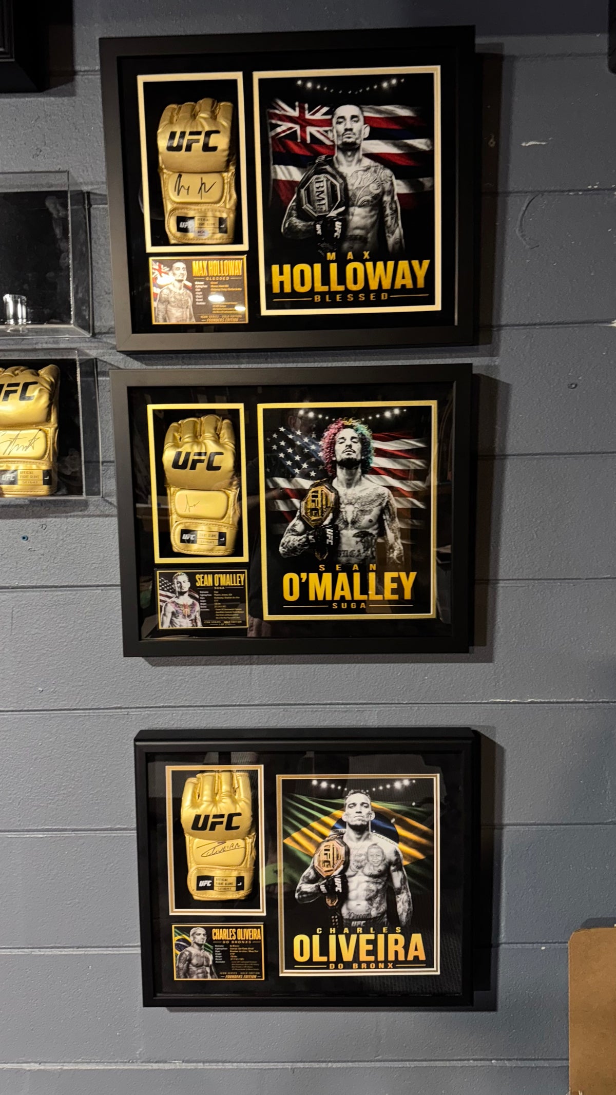 Three framed UFC memorabilia wall displays featuring gold fight gloves, championship belts, and fighter portraits with text including Holloway, O'Malley, and Oliveira, mounted on a gray paneled wall.