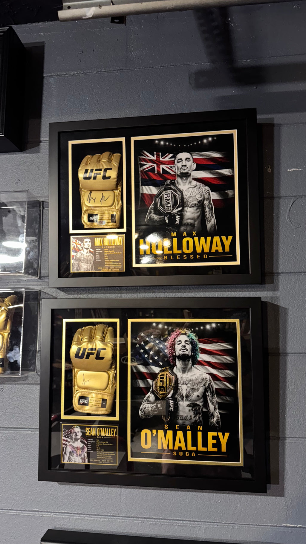 max-holloway-signed-gold-ufc-glove-shadow-box